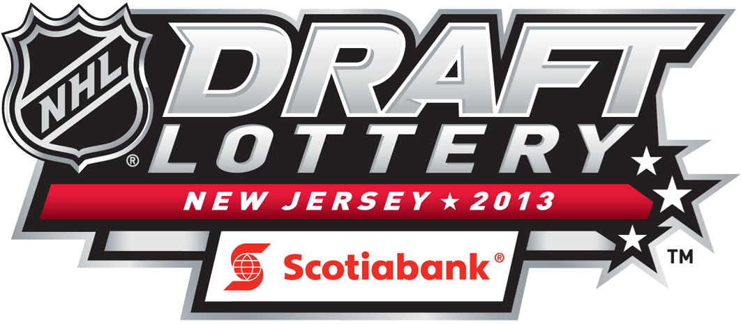 NHL Draft 2013 Misc Logo iron on transfers for T-shirts
